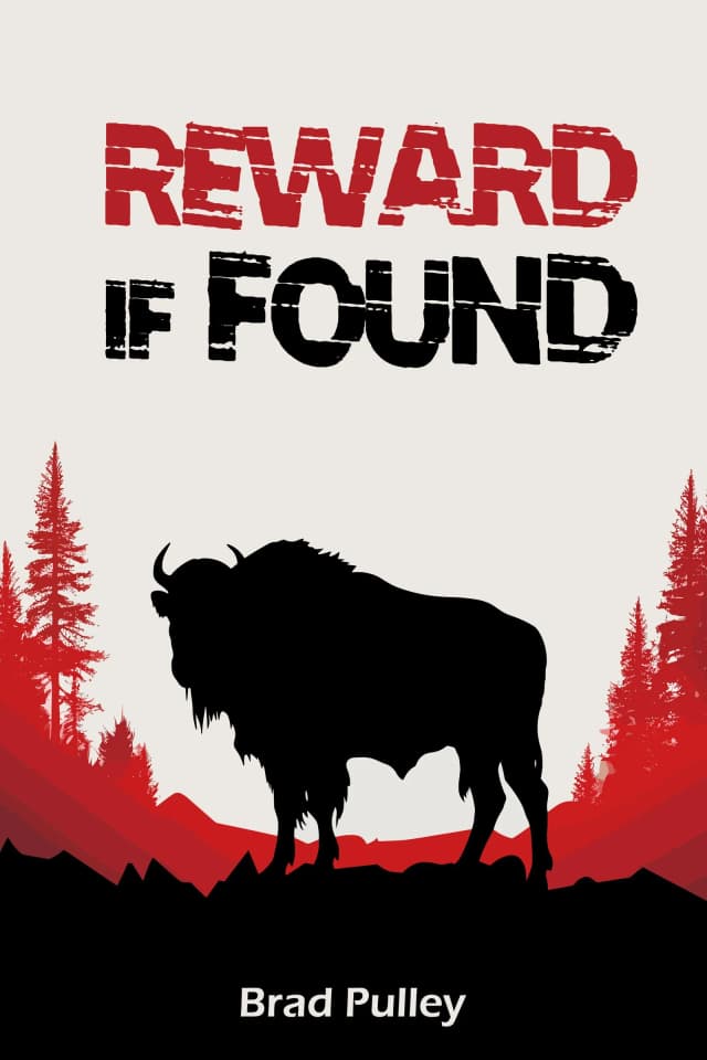 Book cover 4